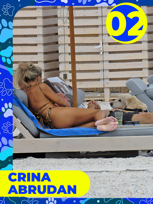 Top 25 vedete care și-au etalat costumele de baie, dar cățeii lor au făcut senzaţie! Delia, Bianca Drăgușanu sau Lora, eclipsate de patrupezi la malul mării