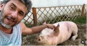 Galerie foto - poza 3