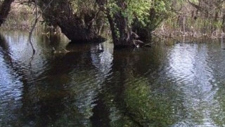 Doua persoane au murit dupa ce s-au rasturnat cu masina intr-un canal