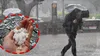 Prognoza meteo azi, 5 iunie 2026. Cum va fi vremea în weekend: regiunile unde sunt așteptate furtuni și grindină