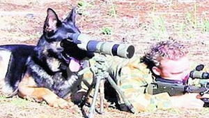 Cum se distreaza soldatii pe front