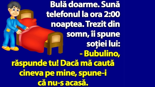BANC | Bulă doarme. Sună telefonul la ora 2:00 noaptea