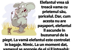 BANC | Elefantul vrea să treacă vama cu prietenul său, şoricelul