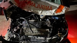Accident cu ambulanța. Șoferul consumase alcool și a lovit doi măgari. Asistentul a fost rănit
