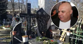 Galerie foto - poza 4