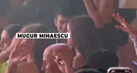 Galerie foto - poza 3