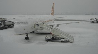 Mai multe curse de pe Otopeni si Baneasa au fost anulate!