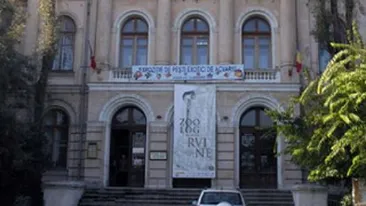 Se pregateste de redeschidere: biletul de intrare la Muzeul Antipa, cel mai scump din Capitala