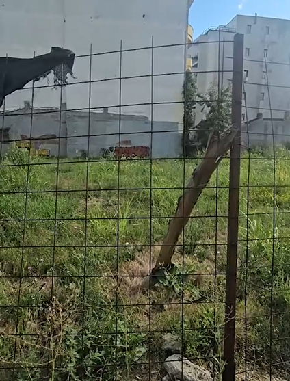 Cum arată astăzi casa lui Vasile Turcu? La 10 ani de la moartea sa, a rămas doar o ruină