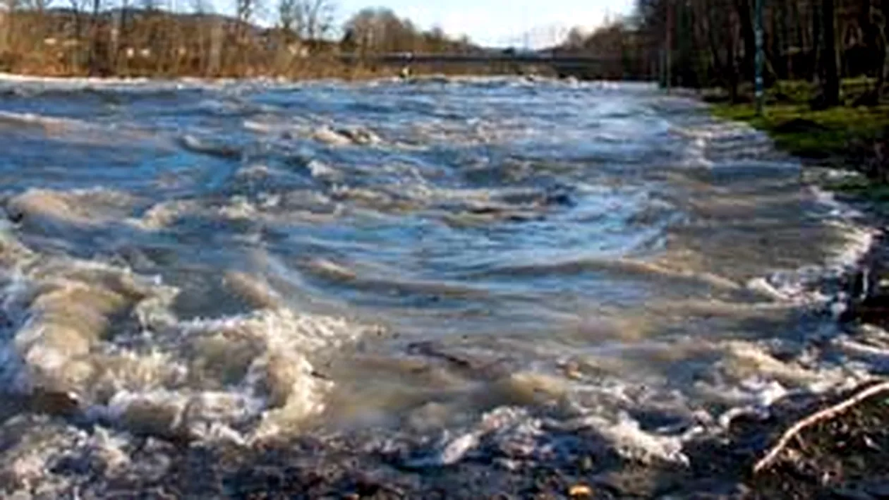 Patru persoane, blocate din cauza revarsarii raului Ialomita, salvate de pompieri