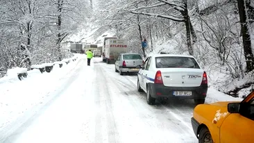 Atenţie, şoferi! Ce face acest poliţist - ESTE OBLIGATORIU să faci ASTA ca să nu plăteşti!