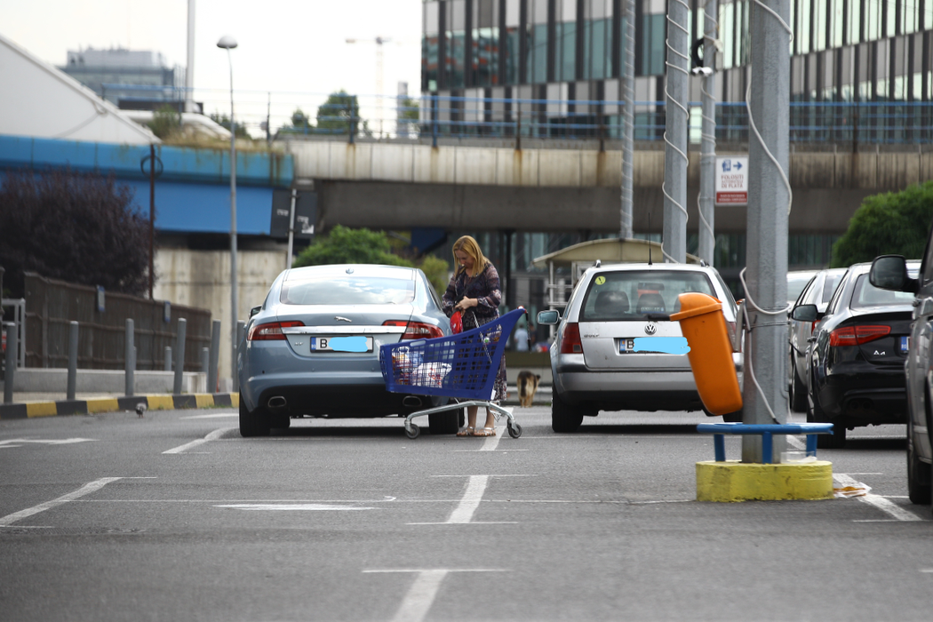 Noua imagine pe care și-o creează acum Ramona Brad este mult mai profitabilă de vreme ce a abandonat vechile afaceri.