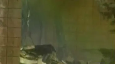 VIDEO O explozie devastatoare a avut loc in Woodstock, Canada! 7 oameni sunt dati disparuti