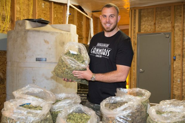 Meghan Markle are rude…”traficanți” de cannabis!. Afacerea nu este în zona neagră a pieței!