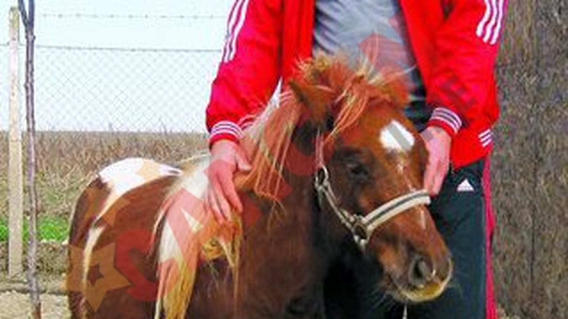 Si-au facut acasa gradini zoologice!
