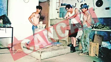 Si-a facut laminor in curte