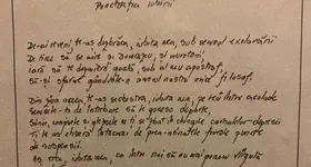 Galerie foto - poza 3