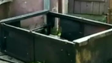 VIDEO I-a explodat televizorul in fata si s-a ales cu arsuri grave