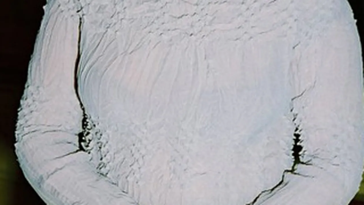 Cantareata de romante Silvia Lungeanu si-a luat adio de la prieteni! Vezi gestul care le-a adus aminte apropiatilor de Malina Olinescu