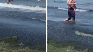 Dezgustător. Ce a apărut în Marea Neagră, după furtunile din weekend