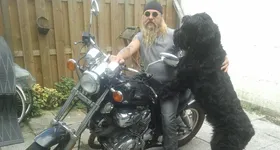 Galerie foto - poza 2