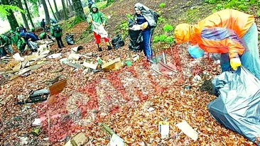 A strans cinci saci de gunoi