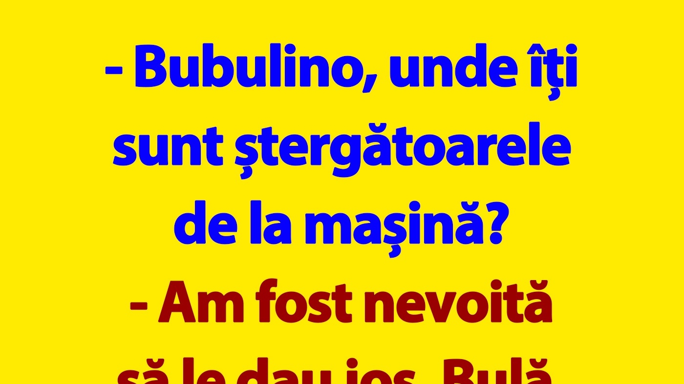 BANC | Bulă și ștergătoarele de la mașina Bubulinei