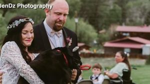 Povestea dureroasă a lui Charlie Bear, câinele care nu a putut să-și dea duhul înainte de a-și vedea stăpâna în rochie de mireasă