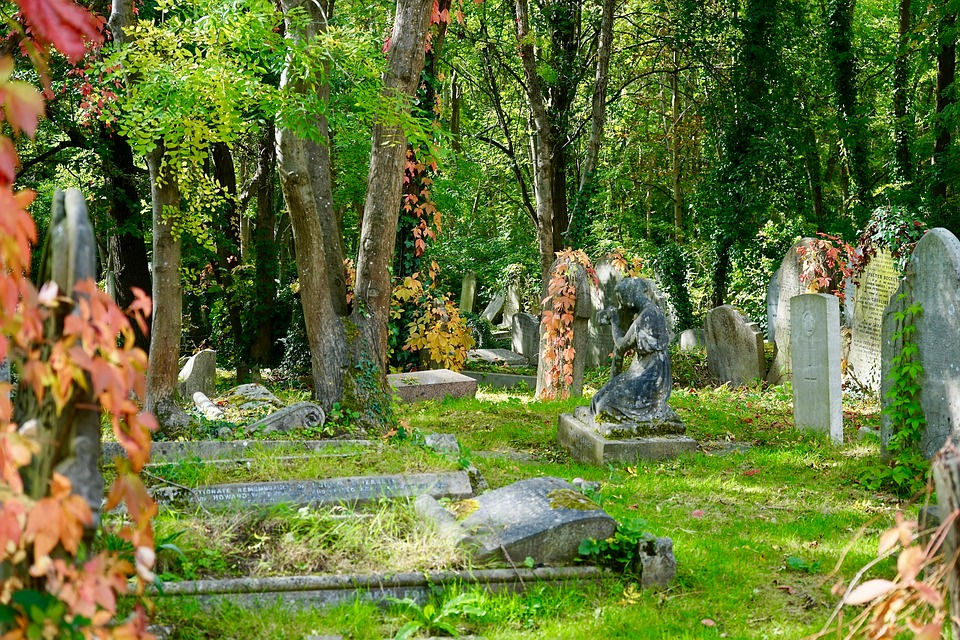 Ilie Dobre a spus că a înviat din morţi chiar în timp ce era condus la groapă. Sursa foto simbol: pixabay.com