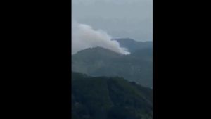 VIDEO. Tragedie aviatică! O aeronavă cu 133 de persoane la bord s-a prăbușit