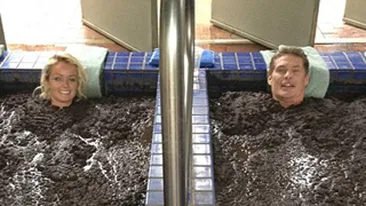David Hasselhoff, la bai de namol alaturi de iubita!