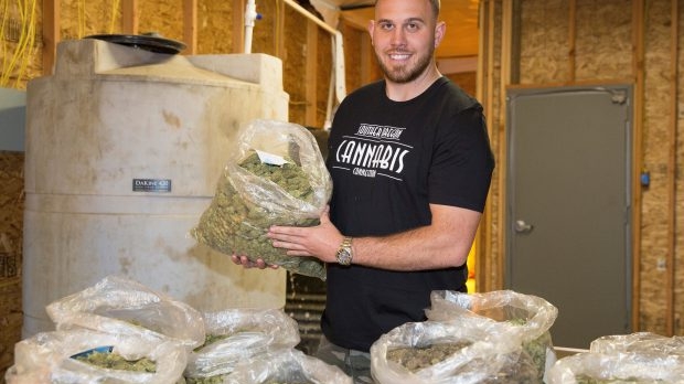 Meghan Markle are rude...”traficanți” de cannabis!. Afacerea nu este în zona neagră a pieței!
