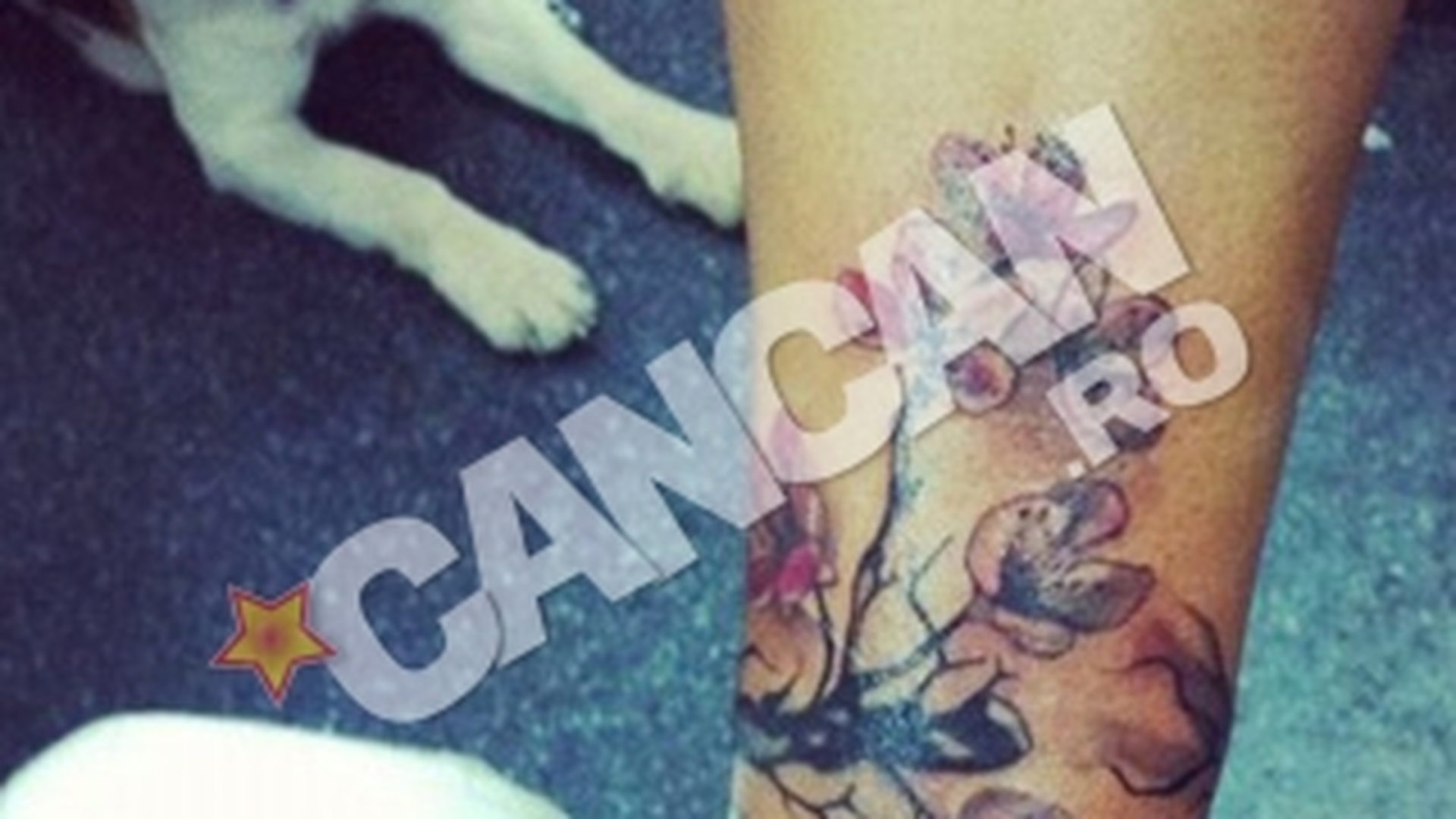 Andreea Popescu, fosta dansatoare a Deliei, si-a marit colectia de tatuaje! Intra sa vezi ce semnifica ultimul desen