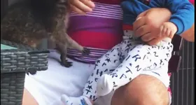 Galerie foto - poza 3