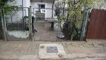 O femeie cu dizabilități din Botoșani s-a trezit cu locuința plină de fecale și mâl: ”Nu am ce să mai fac, este dezastru!”