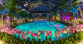 Galerie foto - poza 1