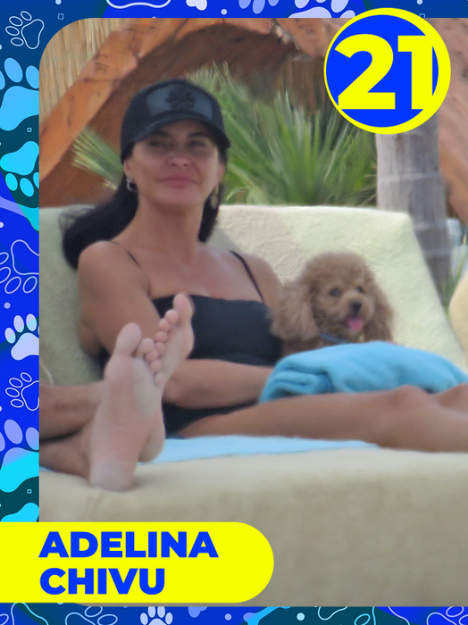 Top 25 vedete care și-au etalat costumele de baie, dar cățeii lor au făcut senzaţie! Delia, Bianca Drăgușanu sau Lora, eclipsate de patrupezi la malul mării