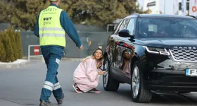 Galerie foto - poza 2