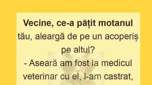BANC | "Vecine, ce-a pățit motanul tău de aleargă de pe un acoperiș pe altul?”