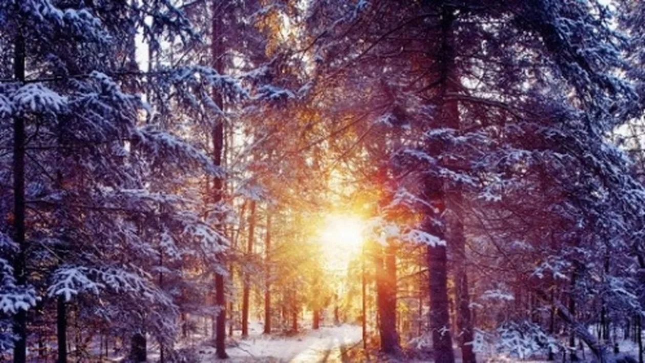 Cum va fi vremea sâmbătă, 28 ianuarie