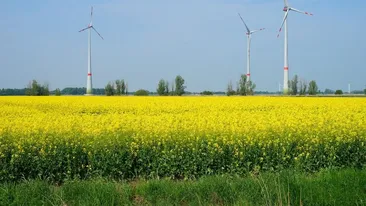 Prognoza meteo 21 mai: Vreme frumoasă în mare parte a țării