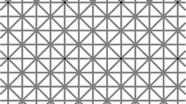 Iluzia optică ce a păcălit 2 milioane de oameni. Câte puncte negre vedeţi în imagine?