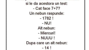 BANC | Un inspector vine la o casă de nebuni și le dă acestora un test IQ: "Cât face 7+7?"