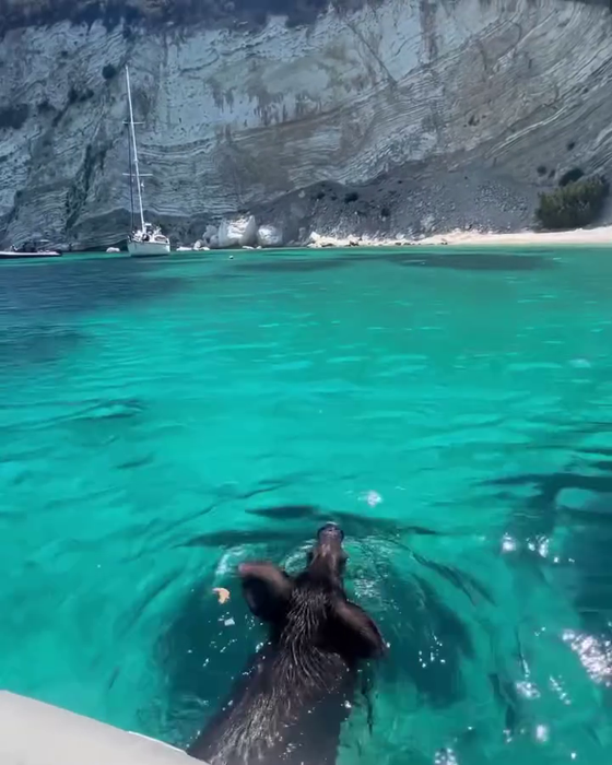 Sursa foto: Instagram Ithaki island