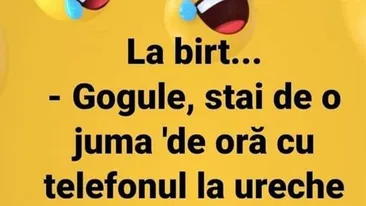 BANC | Gogule, stai de juma' de oră cu telefonul la ureche