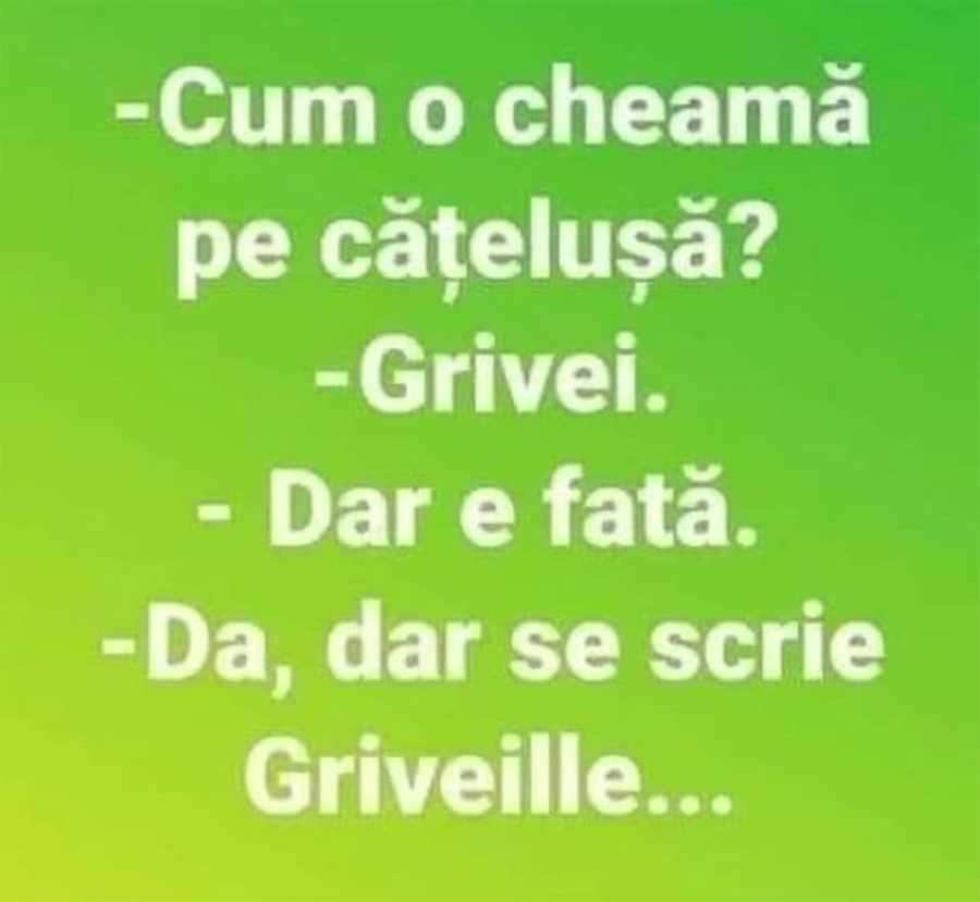 banc catel