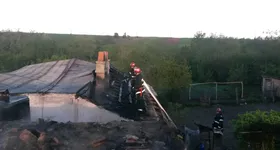 Galerie foto - poza 4