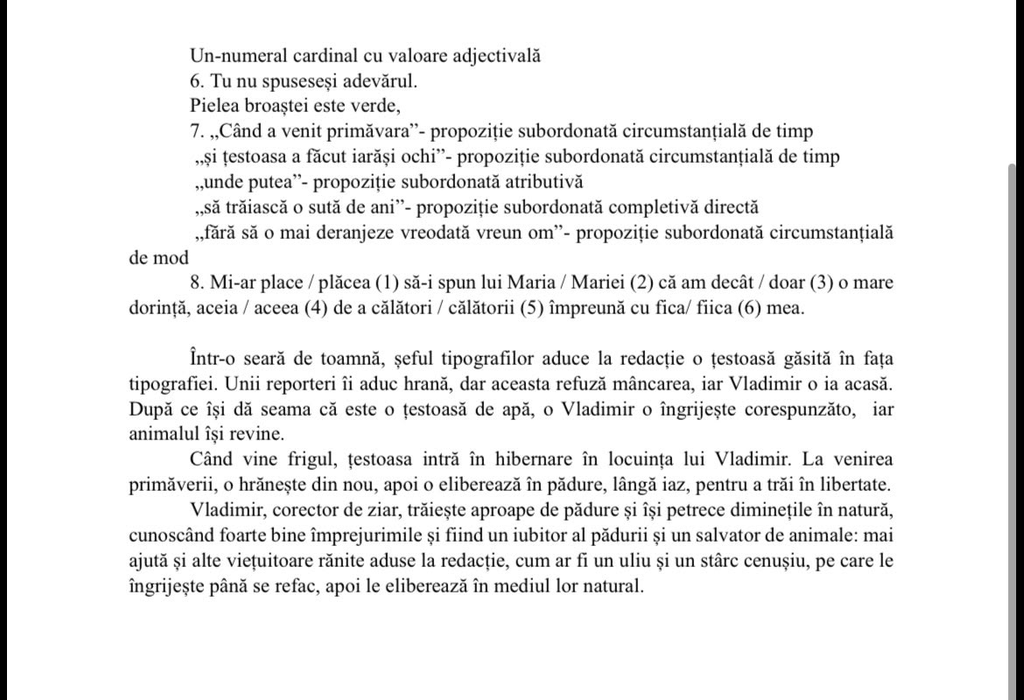 Cum se rezolvau subiectele la Evaluarea Națională 2026 la Limba română. Baremul explicat