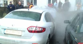 Galerie foto - poza 2