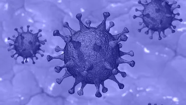 Coronavirus 30 iunie. Crește din nou numărul îmbolnăvirilor. 388 de noi infecții, depistate în ultimele 24 de ore